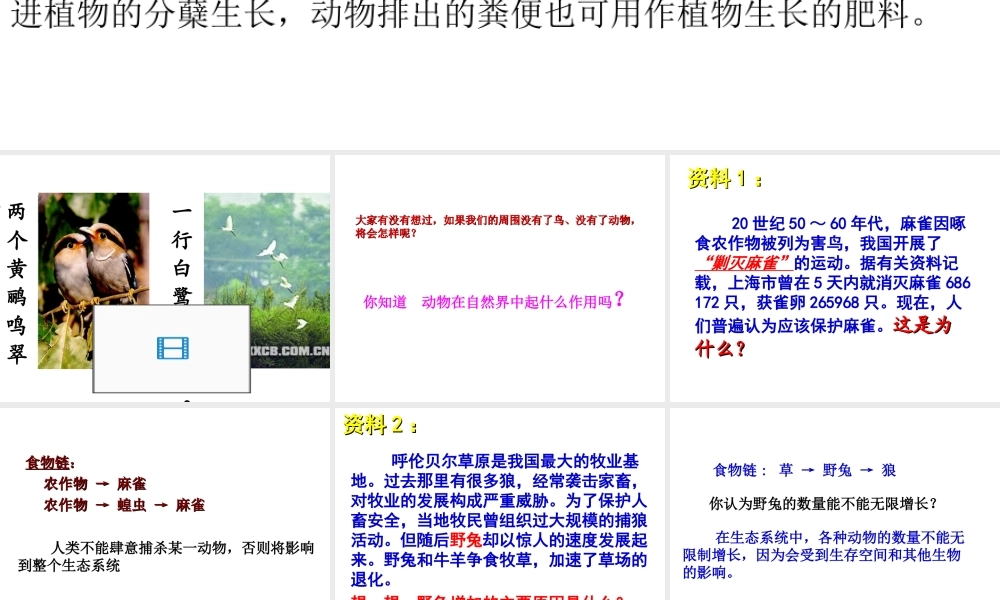 八年级生物上册 第三章 动物在生物圈中的作用课件 新人教版