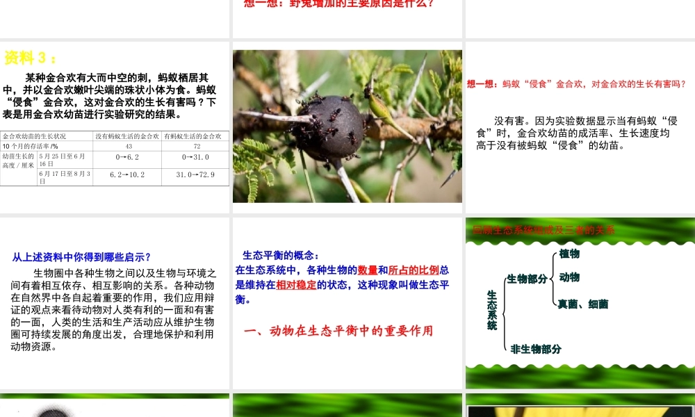 八年级生物上册 第三章 动物在生物圈中的作用课件 新人教版