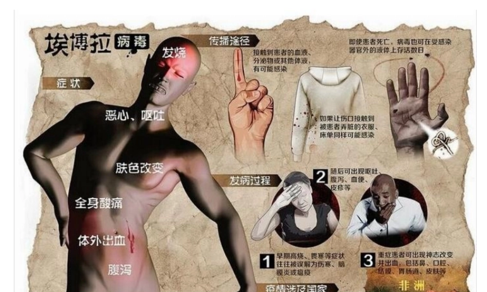 八年级生物上册 第5单元 第5章 病毒课件 （新版）新人教版