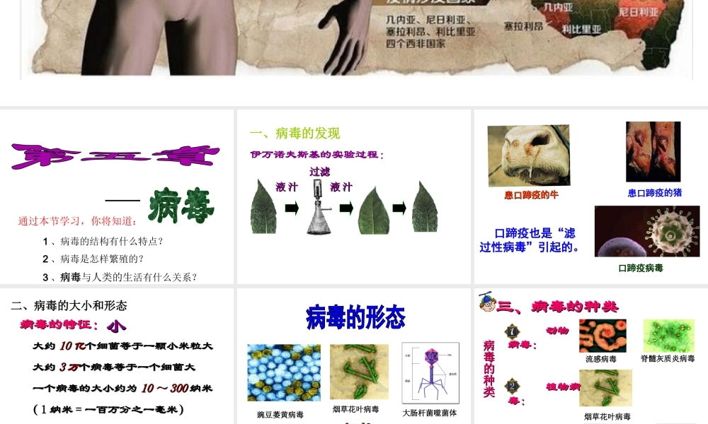 八年级生物上册 第5单元 第5章 病毒课件 （新版）新人教版