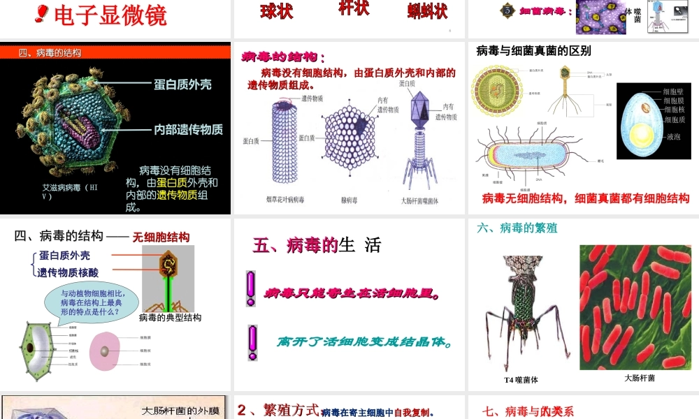 八年级生物上册 第5单元 第5章 病毒课件 （新版）新人教版