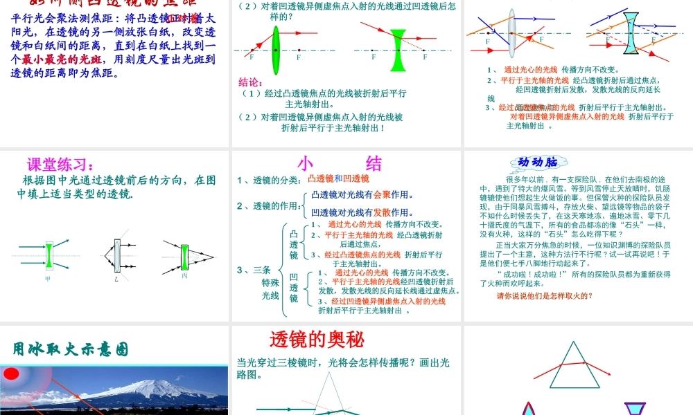 八年级生物上册 第一节 透镜课件 新人教版