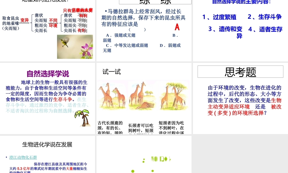 八年级生物上册 第五单元 第16章 第3节 生物进化的学说课件 （新版）苏教版