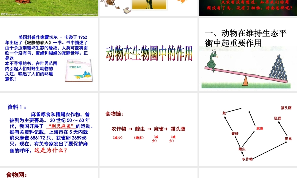 八年级生物上册 第三章 动物在自然界中的作用课件 （新版）新人教版