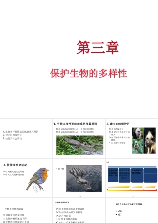 八年级生物上册 第三章保护生物的多样性课件 人教新课标版