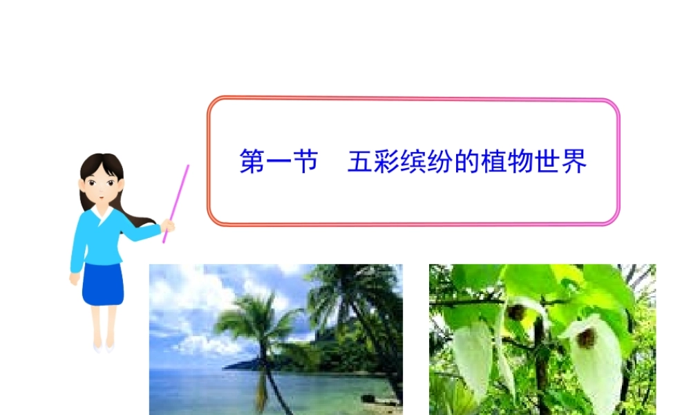 八年级生物上册 第一节 五彩缤纷的植物世界课件 （新版）苏教版