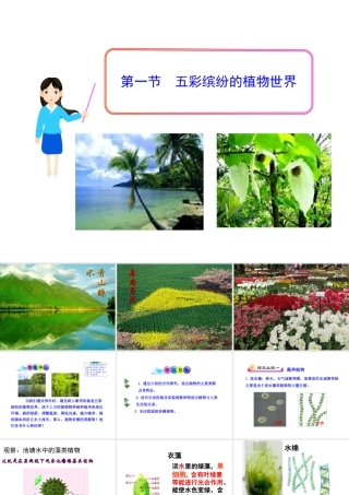 八年级生物上册 第一节 五彩缤纷的植物世界课件 （新版）苏教版