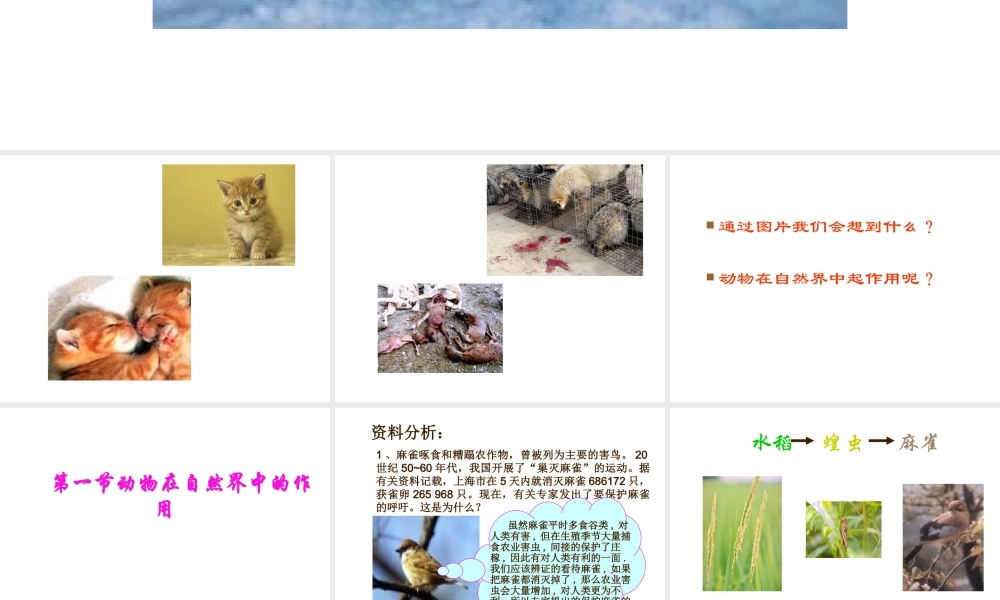 八年级生物上册 第三章动物在自然界中的作用课件 人教新课标版