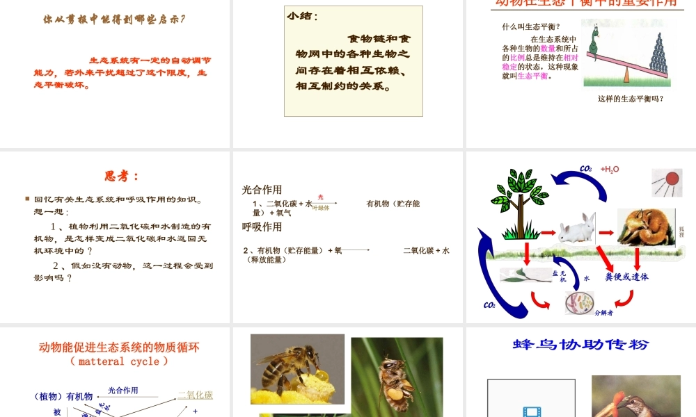 八年级生物上册 第三章动物在自然界中的作用课件 人教新课标版