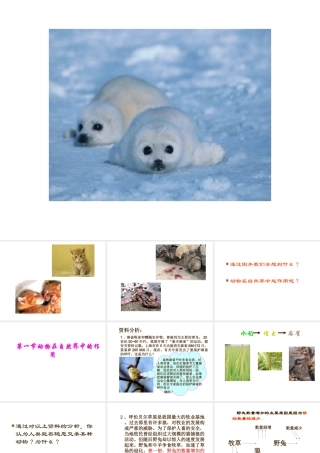 八年级生物上册 第三章动物在自然界中的作用课件 人教新课标版