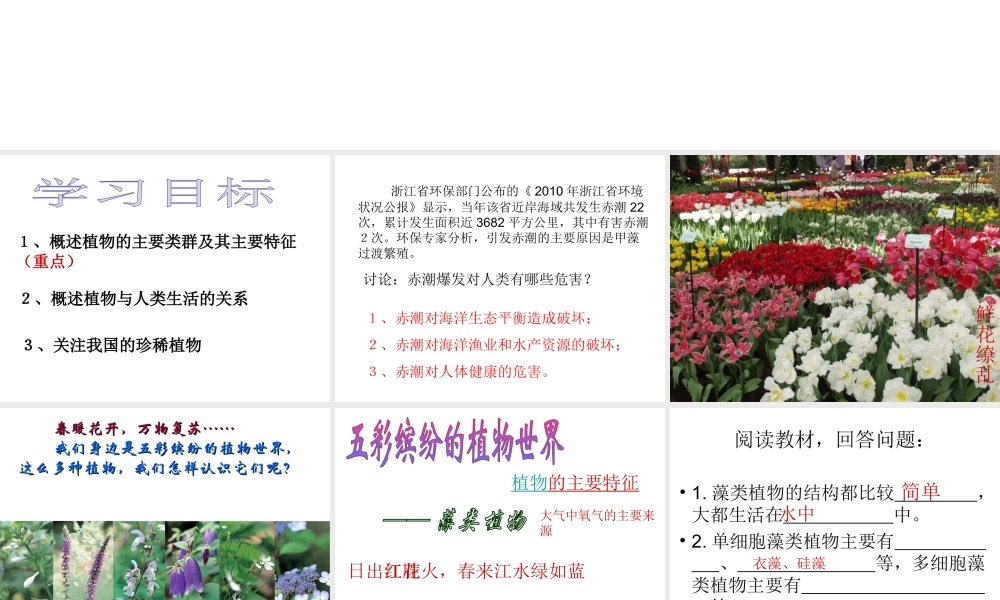 八年级生物上册 第一节 五彩缤纷的植物世界课件 苏教版