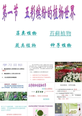 八年级生物上册 第一节 五彩缤纷的植物世界课件 苏教版