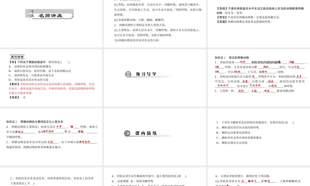 八年级生物上册 第五单元 第一章 第五节 两栖动物和爬行动物（第1课时 两栖动物）课件 （新版）新人教版-（新版）新人教版初中八年级上册生物课件