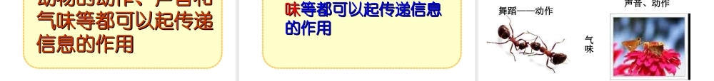 八年级生物上册 第五单元 5.2.3 社会行为课件 （新版）新人教版