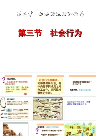 八年级生物上册 第五单元 5.2.3 社会行为课件 （新版）新人教版