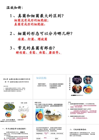 八年级生物上册 第一节 细菌和真菌在自然界中的作用课件 苏教版