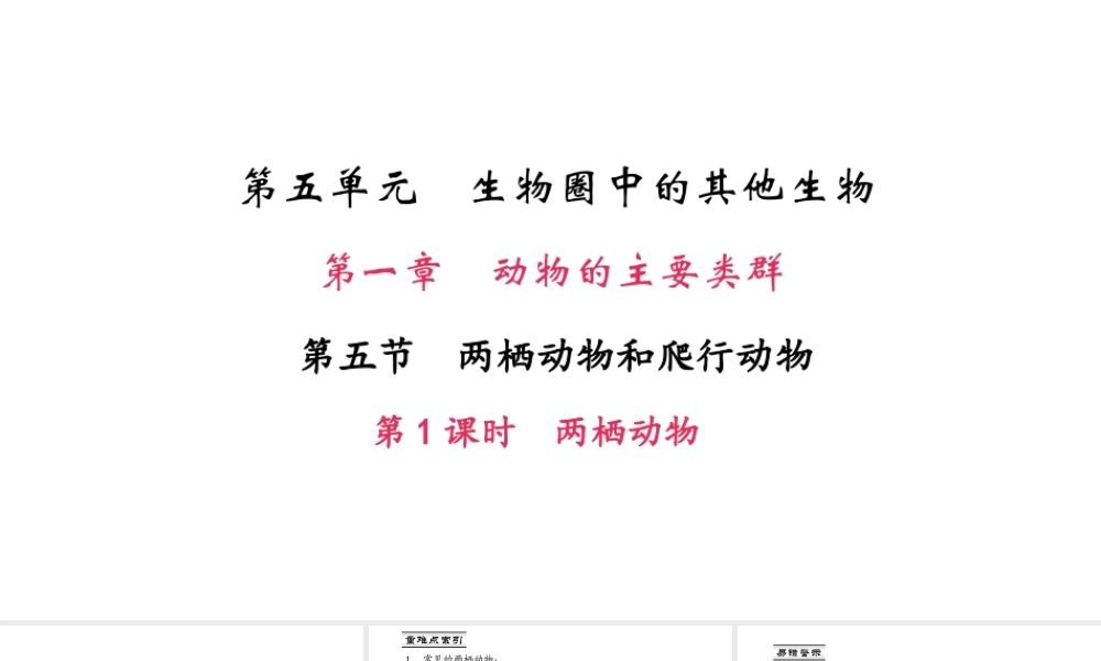八年级生物上册 第五单元 第一章 第五节 两栖动物和爬行动物（第1课时 两栖动物）课件 （新版）新人教版-（新版）新人教级上册生物课件