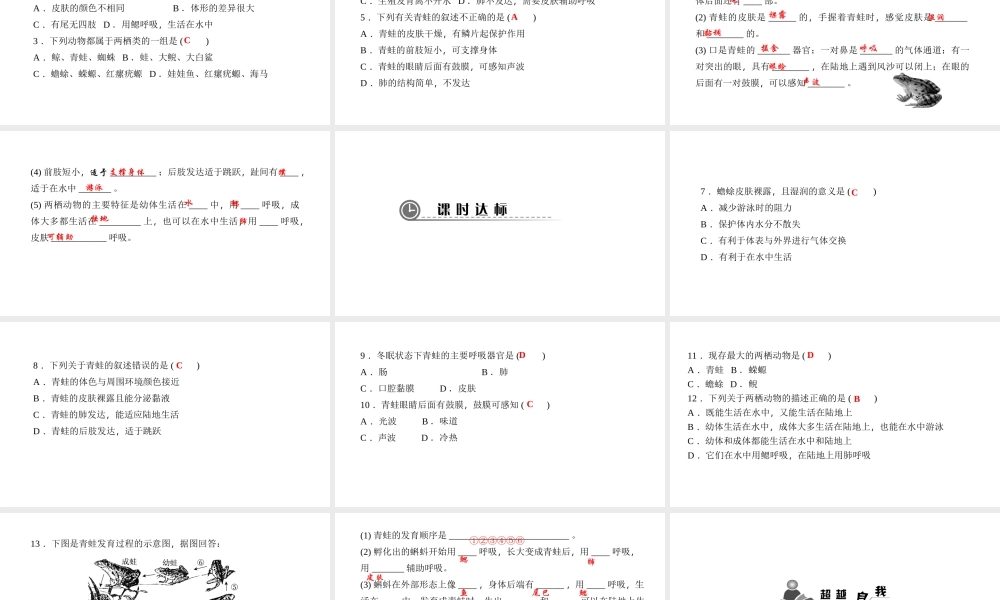 八年级生物上册 第五单元 第一章 第五节 两栖动物和爬行动物（第1课时 两栖动物）课件 （新版）新人教版-（新版）新人教级上册生物课件