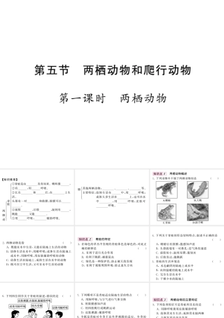 八年级生物上册 第五单元 第一章 第五节 两栖动物和爬行动物（第1课时 两栖动物）习题课件 （新版）新人教版-（新版）新人教版初中八年级上册生物课件