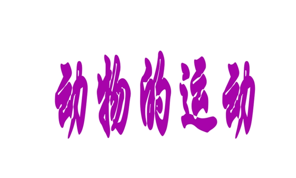 八年级生物上册 第一节动物的运动课件 人教新课标版