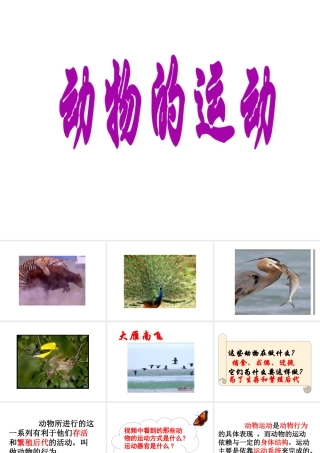 八年级生物上册 第一节动物的运动课件 人教新课标版