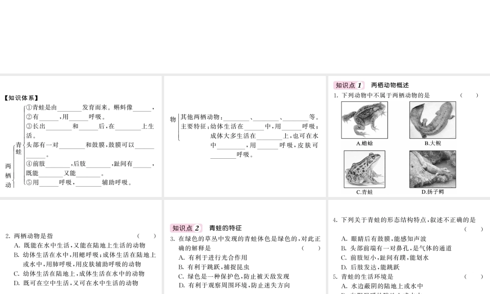 八年级生物上册 第五单元 第一章 第五节 两栖动物和爬行动物（第1课时 两栖动物）习题课件 （新版）新人教版-（新版）新人教级上册生物课件