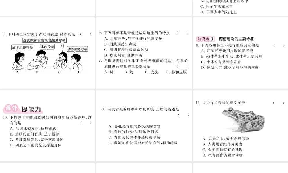 八年级生物上册 第五单元 第一章 第五节 两栖动物和爬行动物（第1课时 两栖动物）习题课件 （新版）新人教版-（新版）新人教级上册生物课件