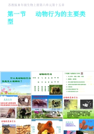 八年级生物上册 第一节动物行为的主要类型课件 苏教版