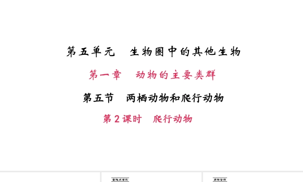 八年级生物上册 第五单元 第一章 第五节 两栖动物和爬行动物（第2课时 爬行动物）课件 （新版）新人教版-（新版）新人教版初中八年级上册生物课件