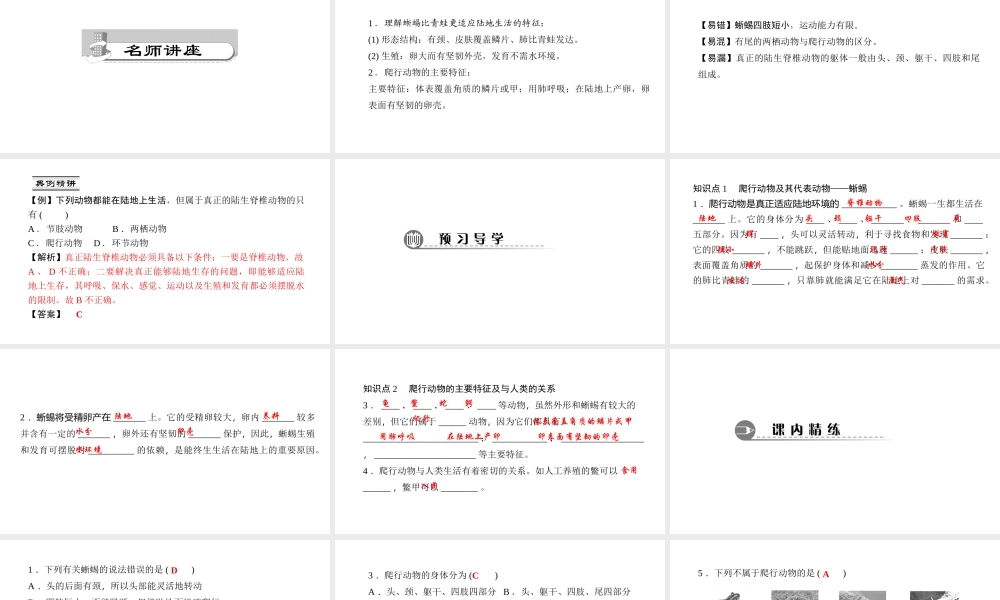 八年级生物上册 第五单元 第一章 第五节 两栖动物和爬行动物（第2课时 爬行动物）课件 （新版）新人教版-（新版）新人教版初中八年级上册生物课件