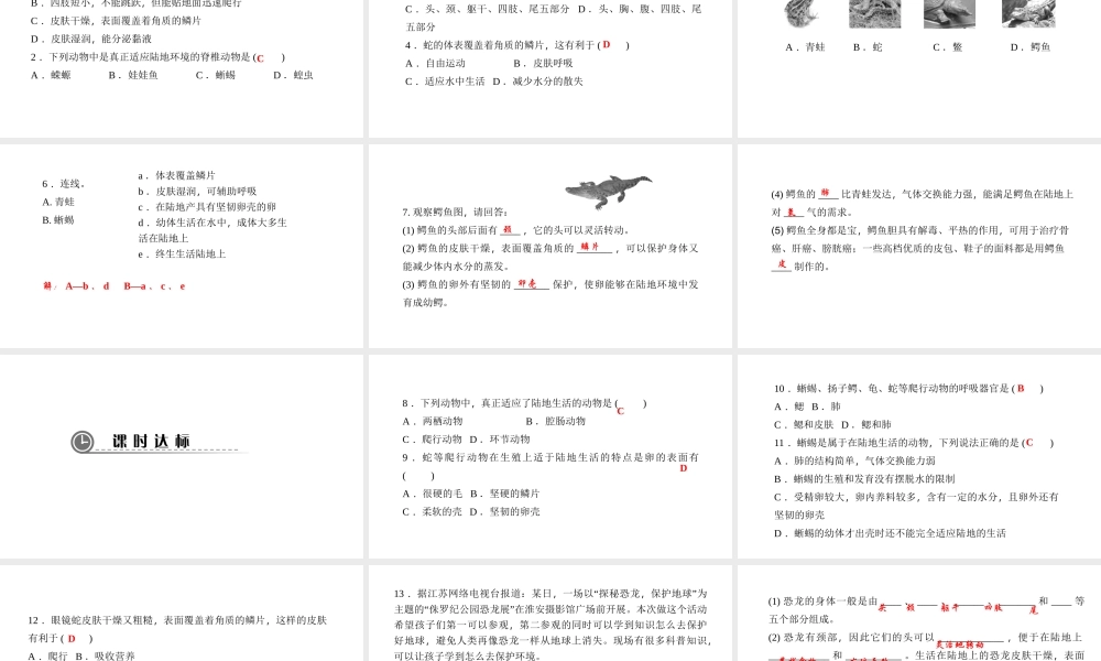 八年级生物上册 第五单元 第一章 第五节 两栖动物和爬行动物（第2课时 爬行动物）课件 （新版）新人教版-（新版）新人教版初中八年级上册生物课件
