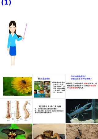 八年级生物上册 第5单元 第二节 千姿百态的动物世界课件 苏教版-苏教级上册生物课件