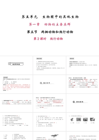 八年级生物上册 第五单元 第一章 第五节 两栖动物和爬行动物（第2课时 爬行动物）课件 （新版）新人教版-（新版）新人教级上册生物课件