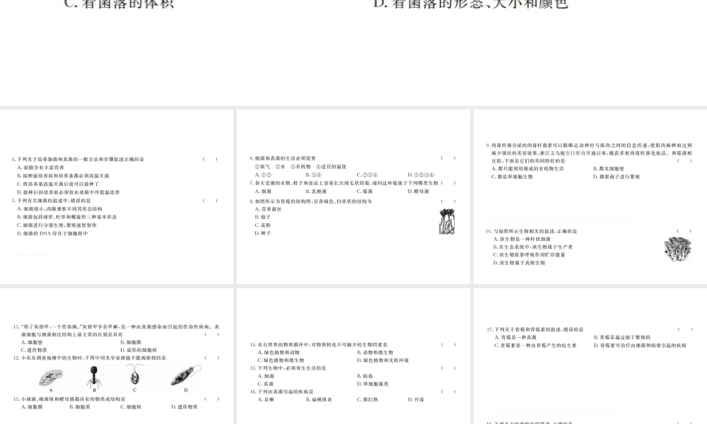 八年级生物上册 第五单元 生物圈中的其他生物 第4-5章检测卷课件 （新版）新人教版-（新版）新人教版初中八年级上册生物课件