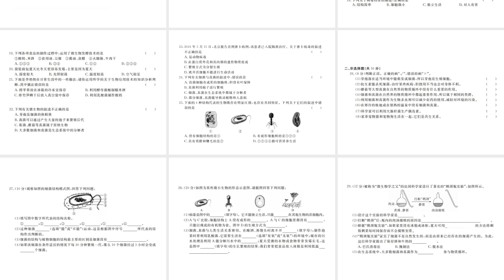 八年级生物上册 第五单元 生物圈中的其他生物 第4-5章检测卷课件 （新版）新人教版-（新版）新人教版初中八年级上册生物课件