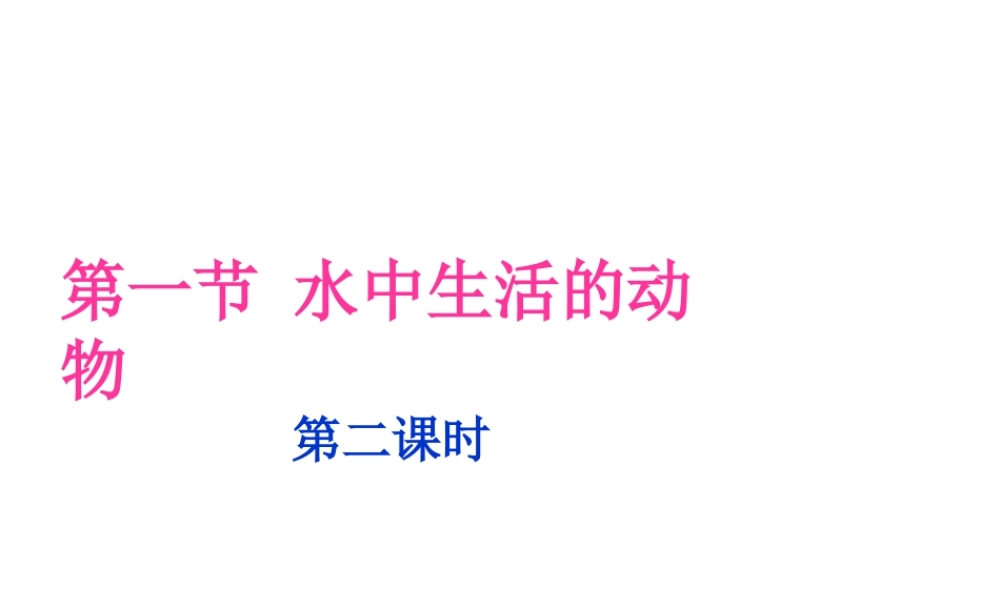 八年级生物上册 第一节水中生活的动物课件 人教新课标版