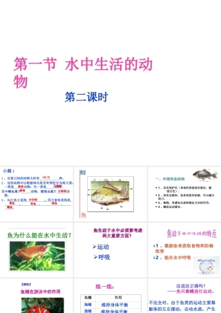 八年级生物上册 第一节水中生活的动物课件 人教新课标版