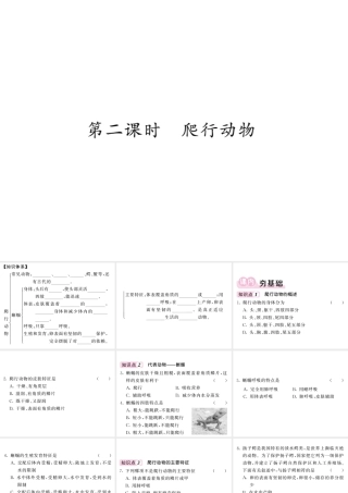 八年级生物上册 第五单元 第一章 第五节 两栖动物和爬行动物（第2课时 爬行动物）习题课件 （新版）新人教版-（新版）新人教版初中八年级上册生物课件