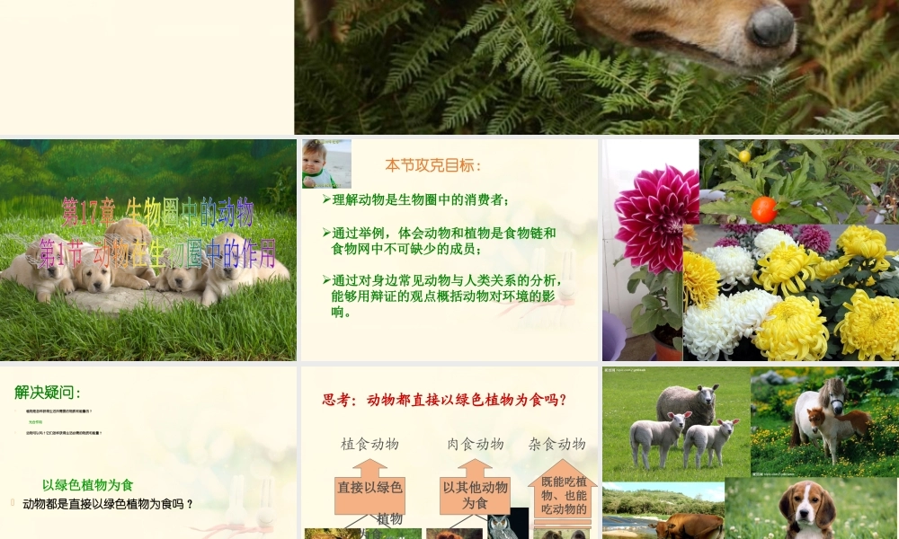 八年级生物上册 第五单元 第17章 第1节 动物在生物圈中的作用课件 （新版）北师大版