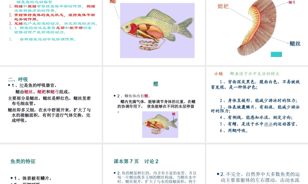 八年级生物上册 第一节水中生活的生物 课件 人教新课标版