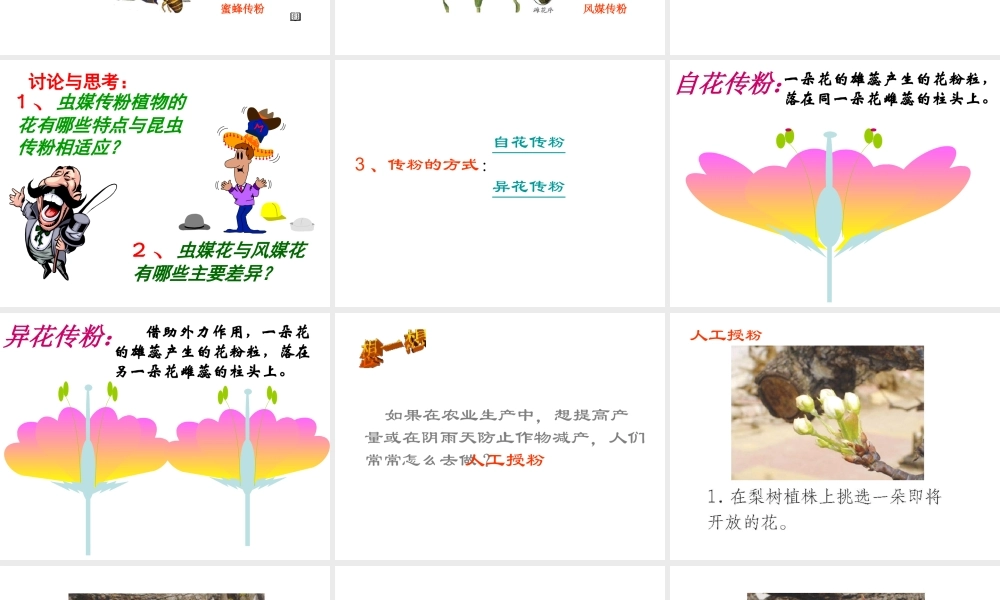 八年级生物上册 第一章 第二节 传粉和受精课件 济南版