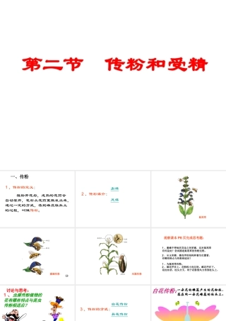 八年级生物上册 第一章 第二节 传粉和受精课件 济南版