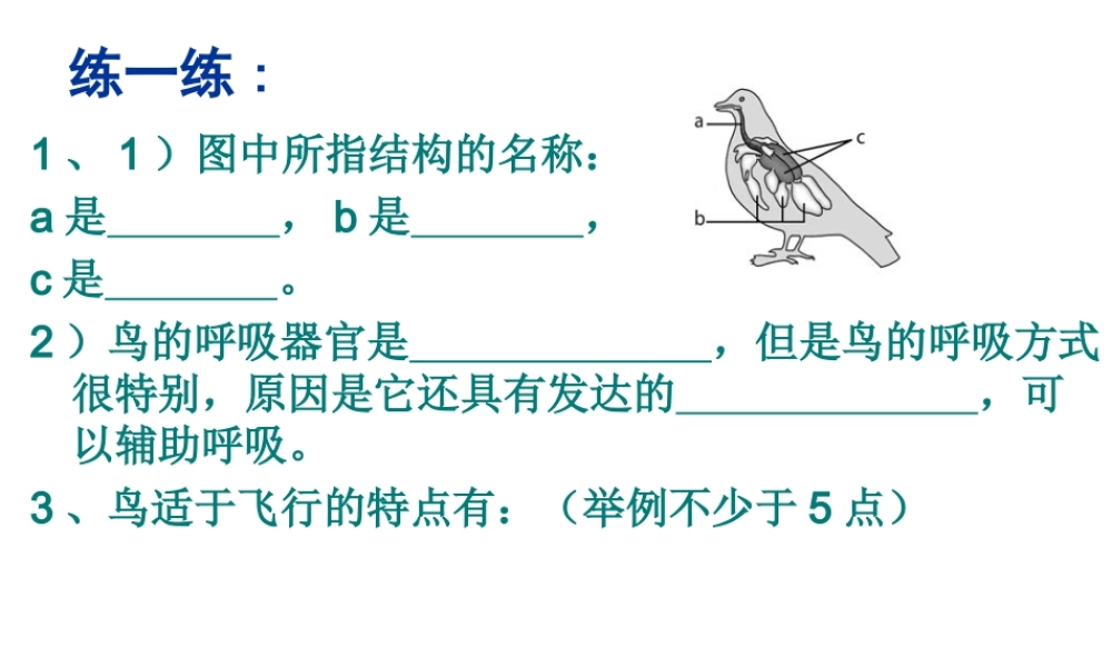 八年级生物上册 第5单元第1章 第三节空中飞行的动物第二课时课件 人教新课标版