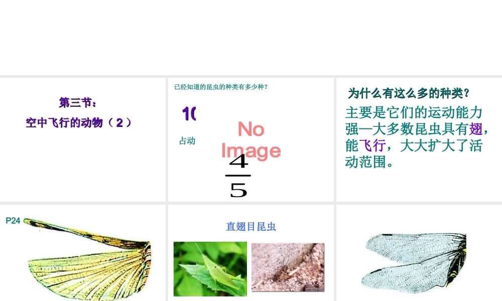 八年级生物上册 第5单元第1章 第三节空中飞行的动物第二课时课件 人教新课标版