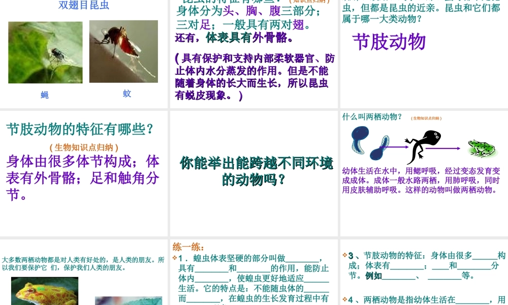 八年级生物上册 第5单元第1章 第三节空中飞行的动物第二课时课件 人教新课标版