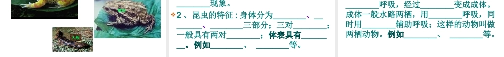 八年级生物上册 第5单元第1章 第三节空中飞行的动物第二课时课件 人教新课标版