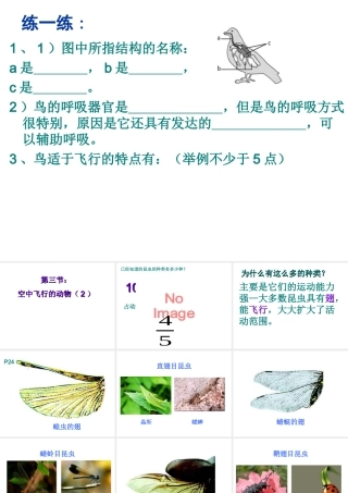 八年级生物上册 第5单元第1章 第三节空中飞行的动物第二课时课件 人教新课标版