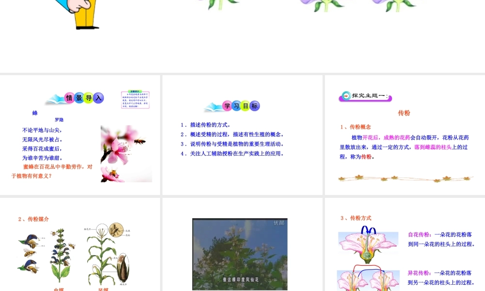 八年级生物上册 第一章 第二节 传粉与受精课件 济南版