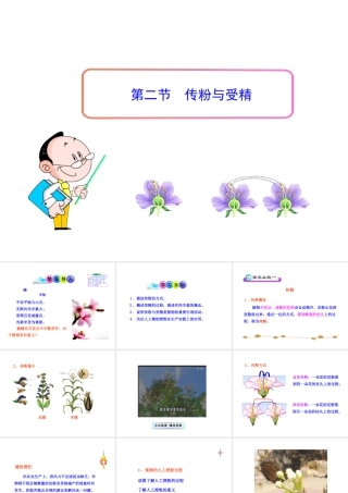 八年级生物上册 第一章 第二节 传粉与受精课件 济南版