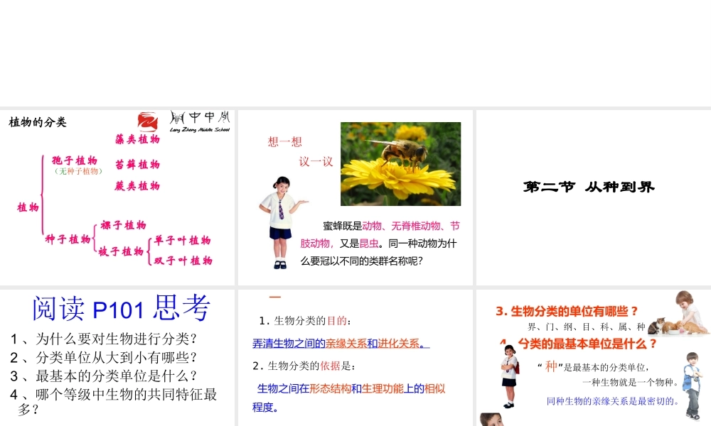 八年级生物上册 第一章 第二节 从种到界课件 （新版）新人教版